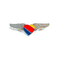 Wing Pin SWA Southwest Airlines Pilot Wings (3 inch)